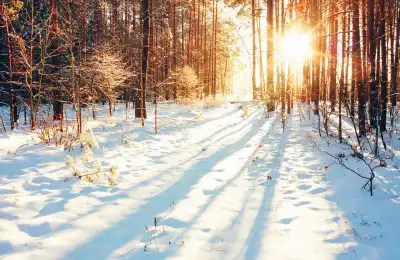 What Powers Did Ullr Possess?