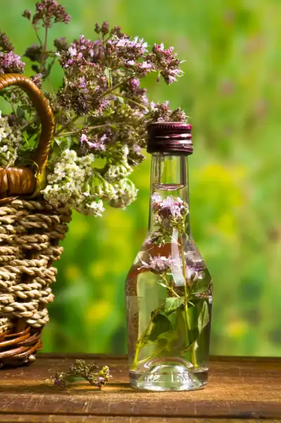 Marjoram Oil