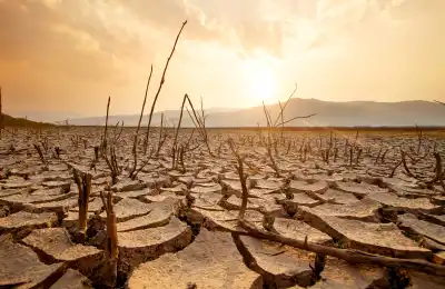 Drought