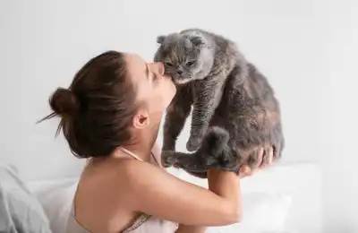 Owner giving their cat affection.