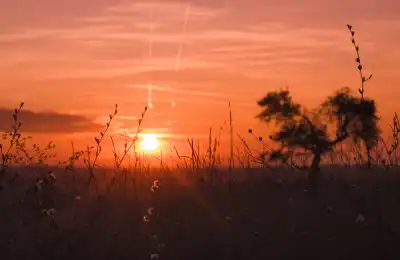 Image of the sun setting.