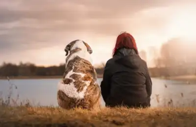 How to Teach a Dog to Whisper Bark