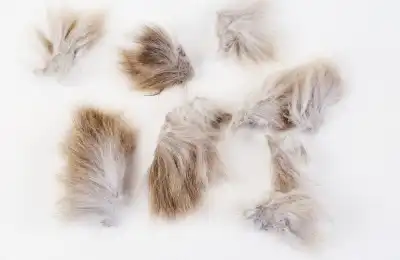 Is Matted Fur Painful for Cats