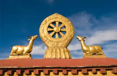 the Dharma Wheel symbolism