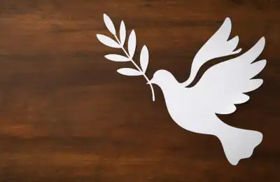dove carrying olive branch symbol
