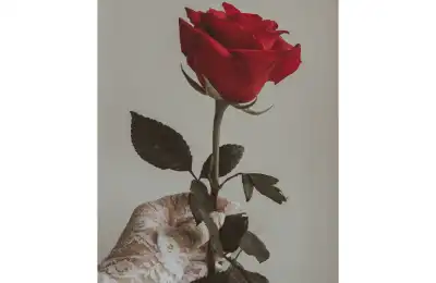 rose symbolism