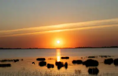 What Is the Sun of May?