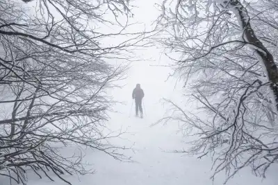 A forest covered in snow with a figure in the distance