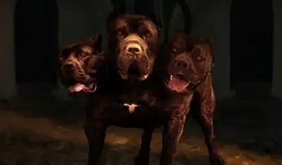 Cerberus