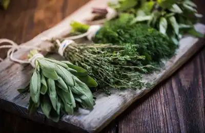 Choosing the Right Ingredients