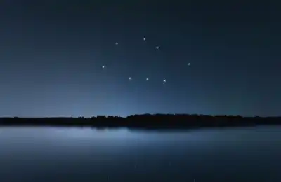 Vela