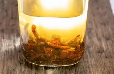 What is the Best Form of Cordyceps to Take?