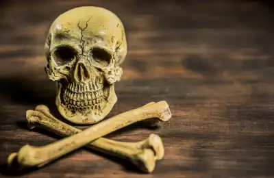 skull and crossbone symbolism