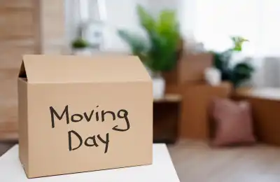 Cardboard box with 'Moving Day' written on it