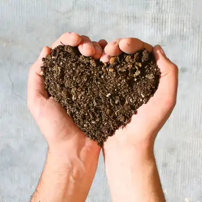 Hands holding earth in a heart shape