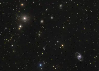 Fornax's Stars
