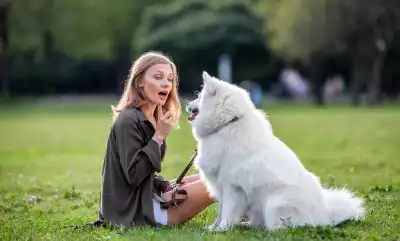 Train your dog to 'Leave It'