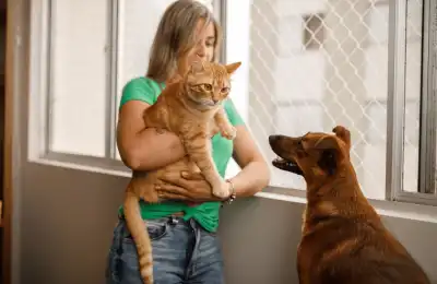 How to Introduce a Dog to a Cat Safely