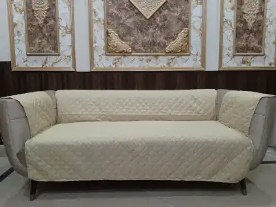 Protect Your Furniture During Dog Training