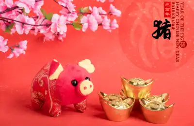 chinese Year of the Pig