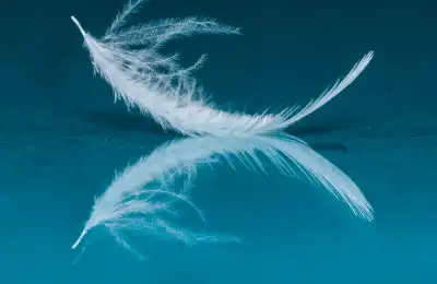 What Does a Feather Tattoo Mean Spiritually?