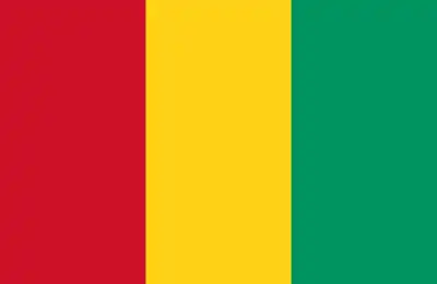 Guinea flag
