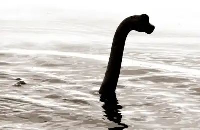 Loch ness monster photo