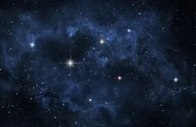 Nebulae in the Musca Constellation