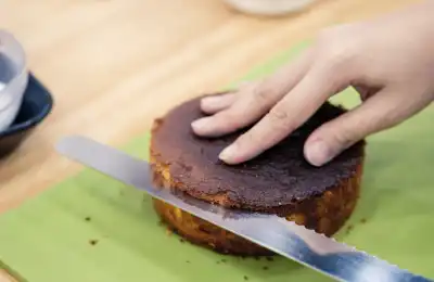 Serrated Cake Knife