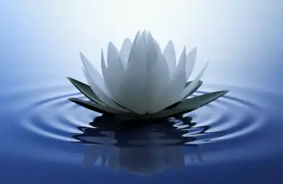 lotus symbol