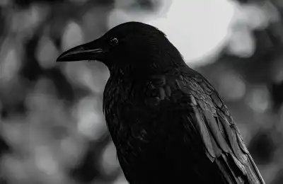Your Zodiac Spirit Animal