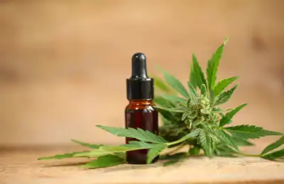 What Are The Side Effects of Hemp Oil?