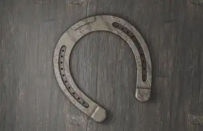 brown horseshoe on wooden table
