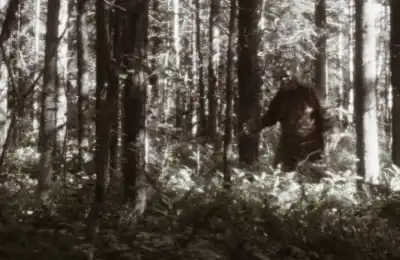Bigfoot real photo