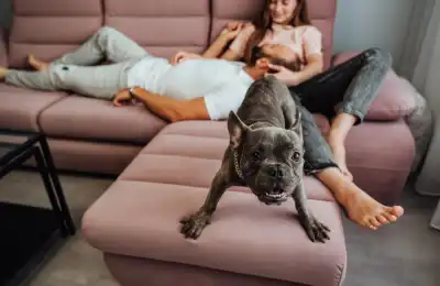 Can Dogs See Ghosts and Spirits