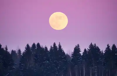 Image of a full moon.