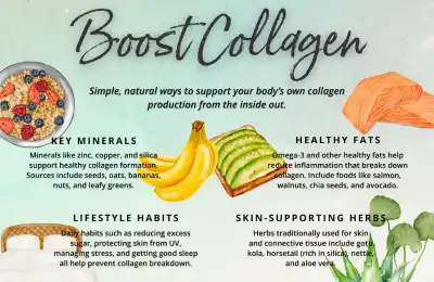 Image of an infographic about collagen.