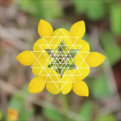 Sri Yantra sacred geometry