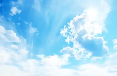 The Symbolism of the Bluebird
