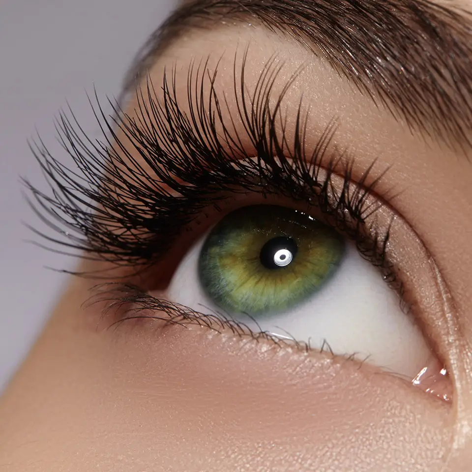 Macro shot of female eye with long eyelashes and black liner makeup