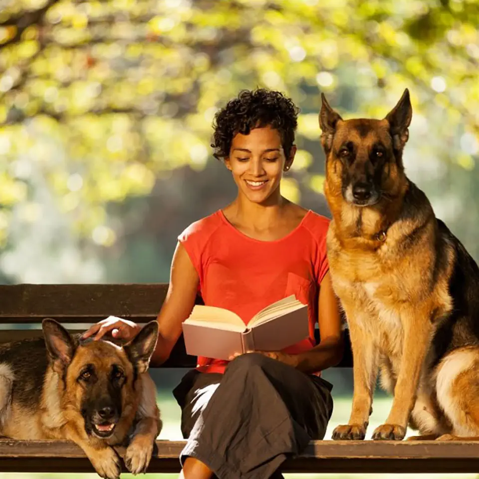 Canine Behaviour Course Online Dog Behaviour Training