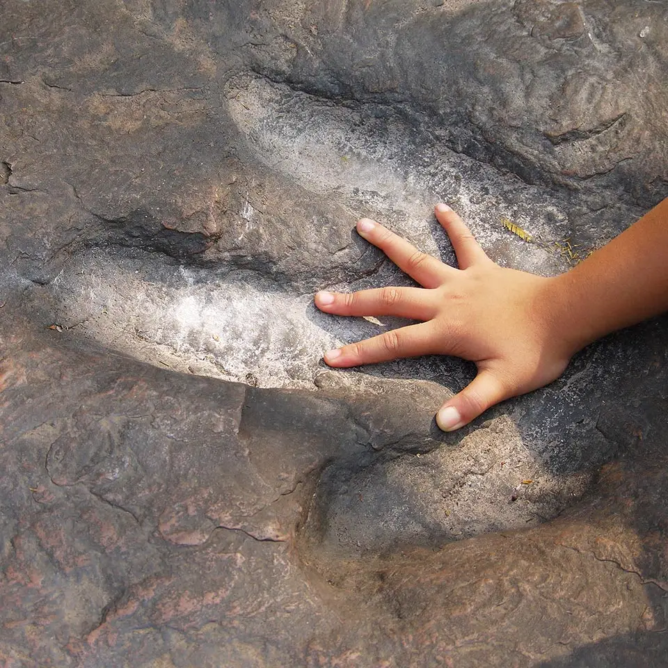 Child's hand in the footprint of a dinosaur.