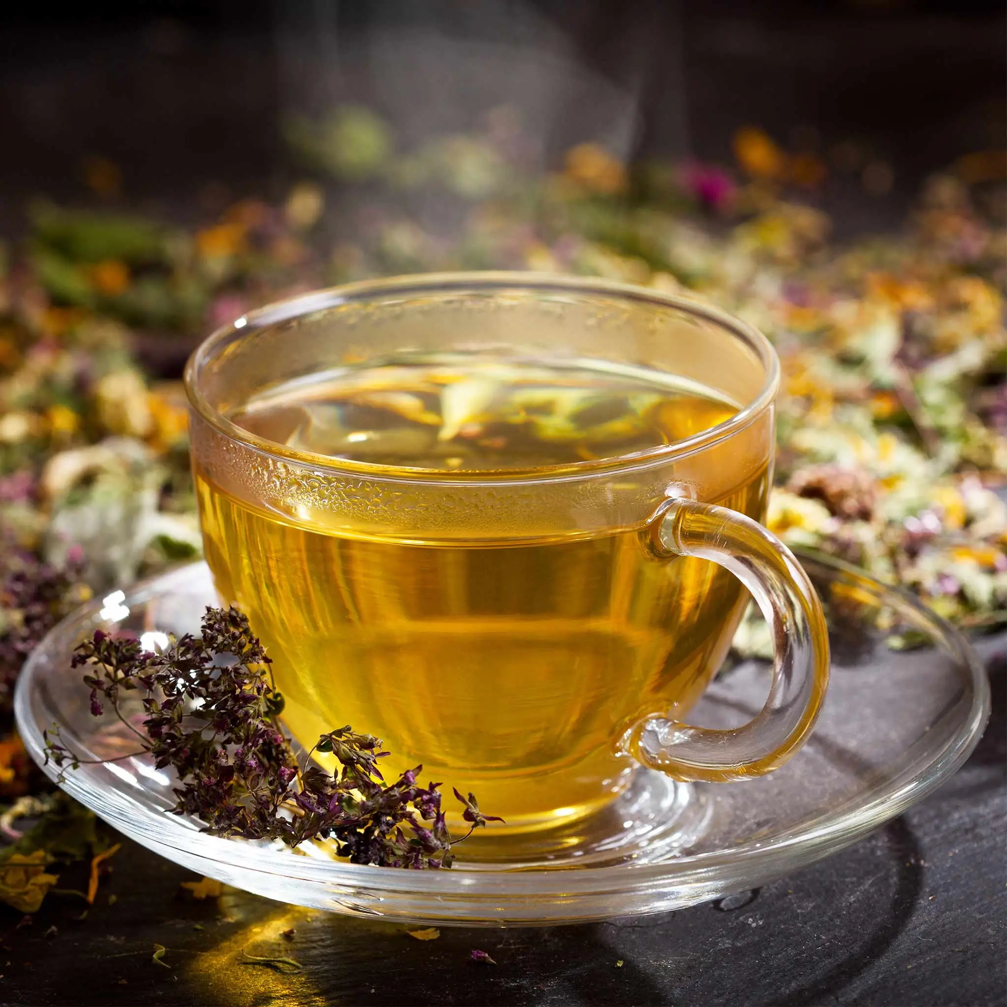 Cup of herbal tea with various herbs on a dark background