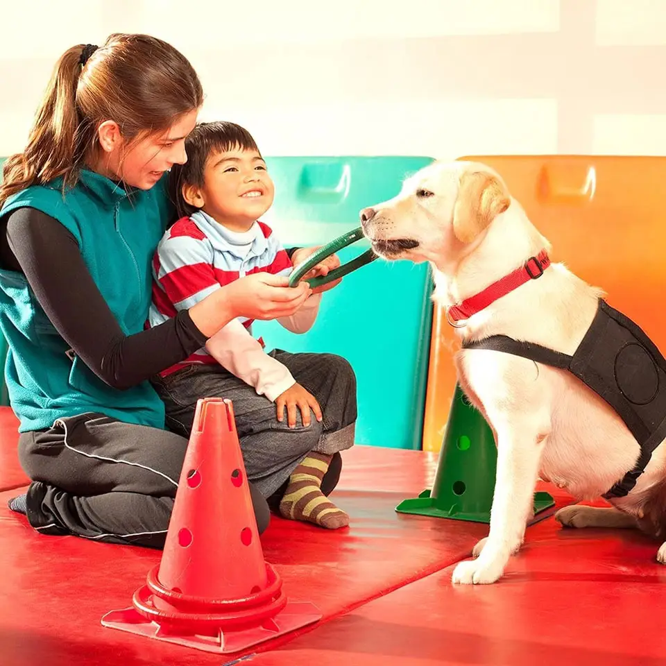 Animal assisted therapy near me new arrivals