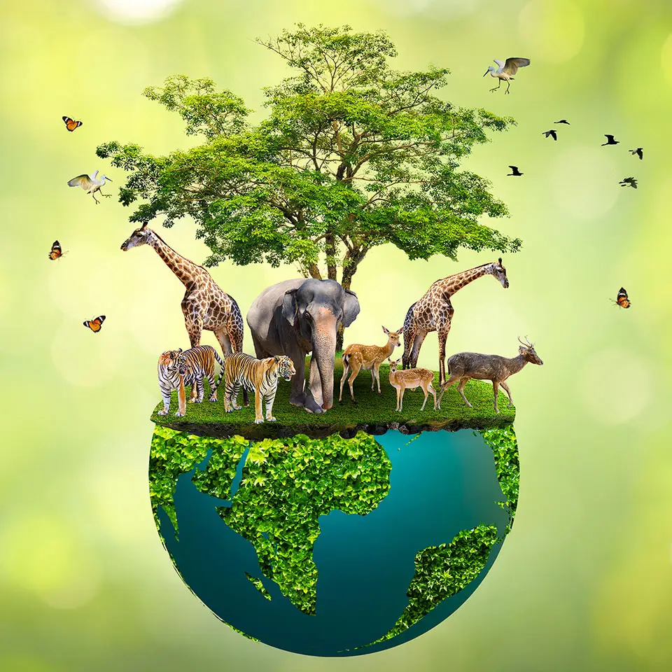 Nature concept of the earth halved and covered with vegetation and animals
