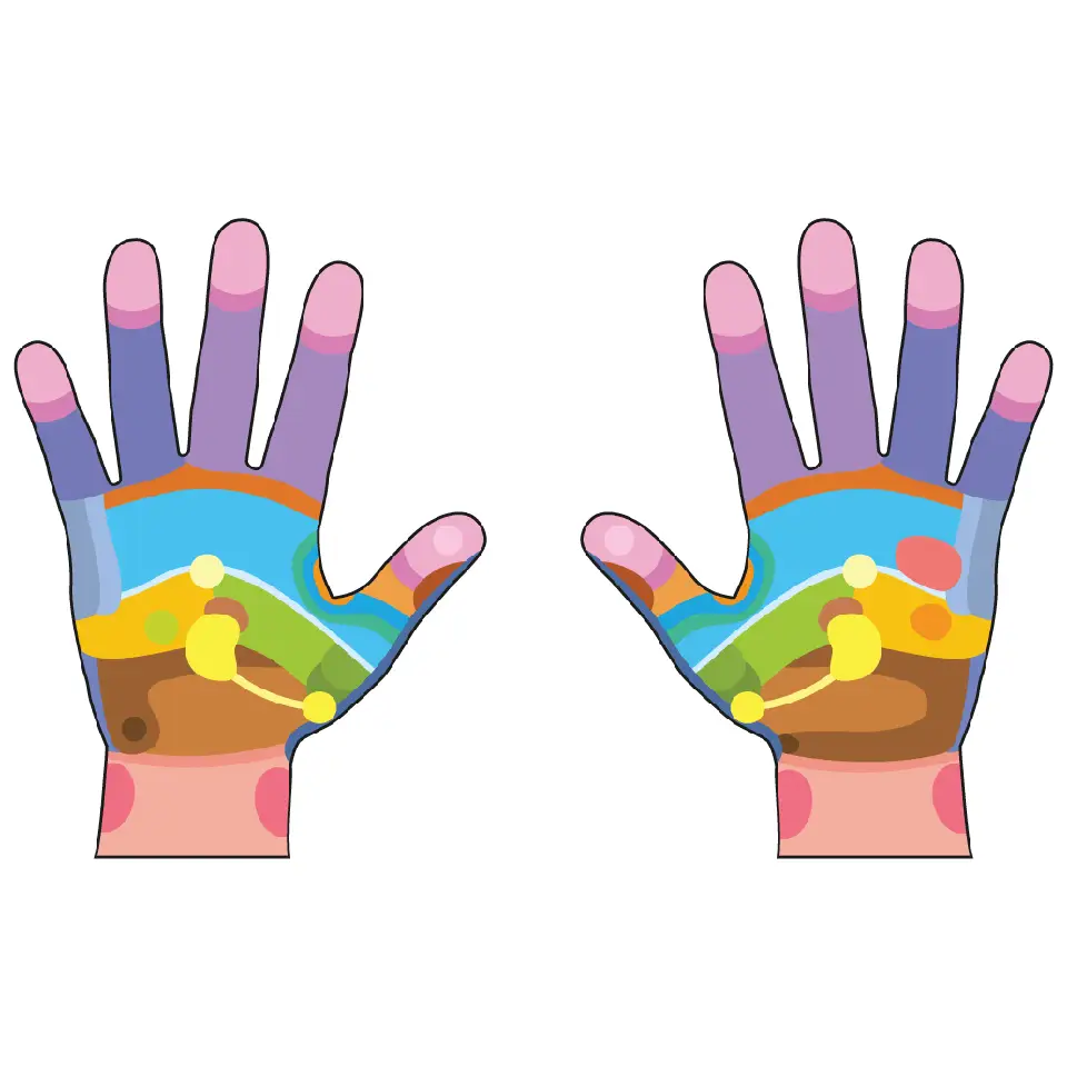 Hand Reflexology illustration
