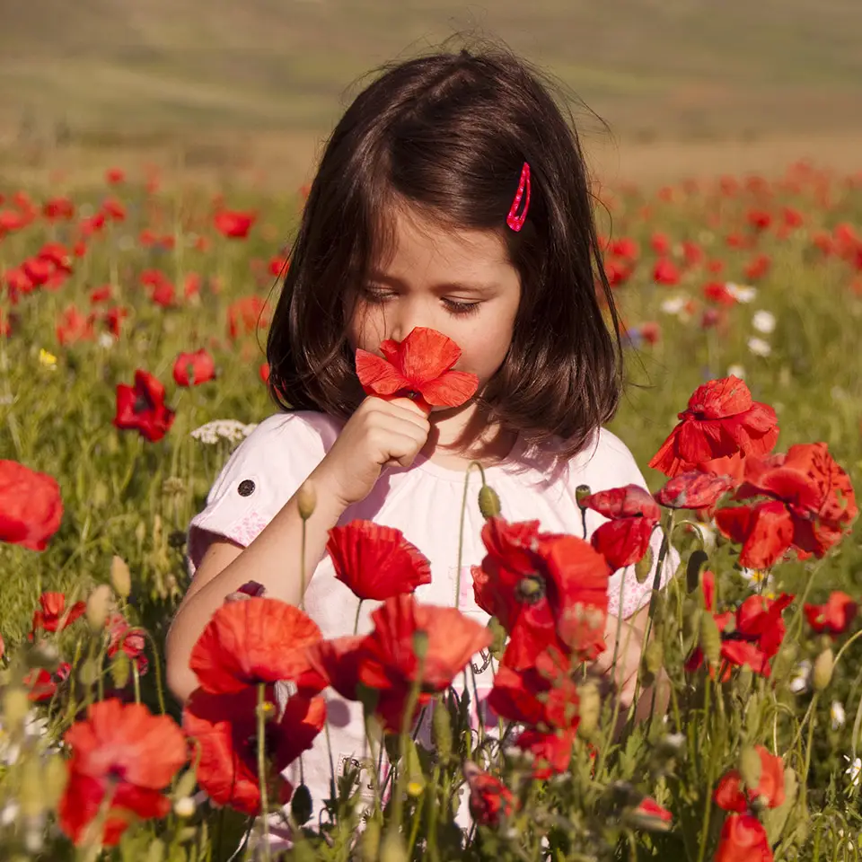 Girl sniffing flowers in a poppy field