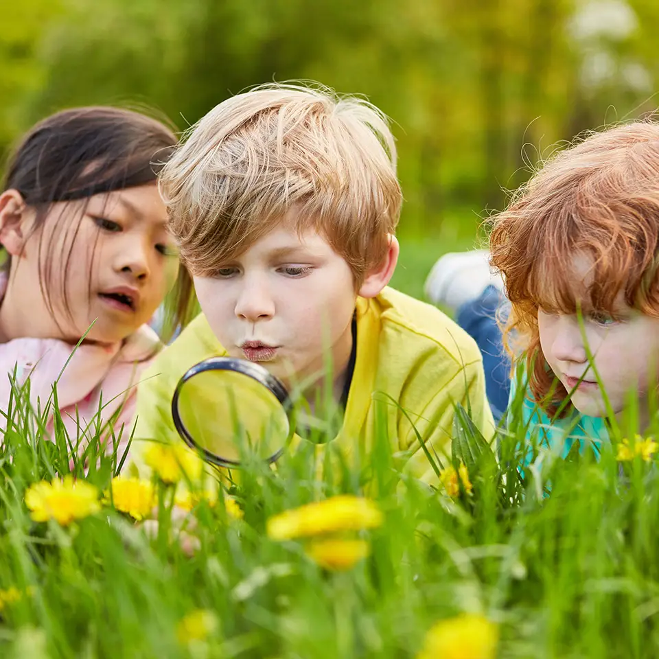 Children lying on grass looking through a magnifying glass as they discover biology