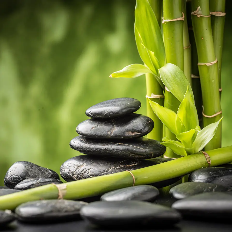 Bamboo Massage Online Training Course | Accredited Diploma