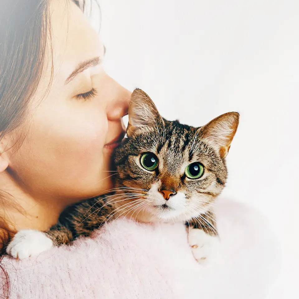 Woman holing and kissing a cat